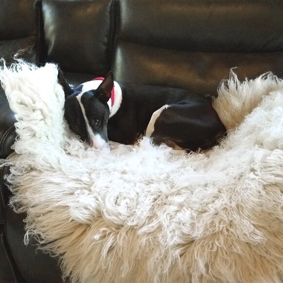 ORGANIC GREEK FLOKATI WOOL PET BEDS-44" X 48" 100% NATURAL WOOL-PETS LOVE THEM - Picture 2 of 8